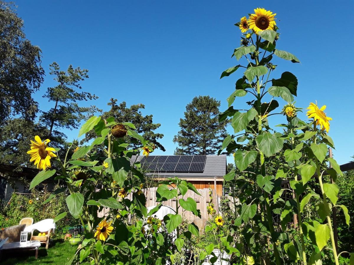Ecolodge De Parel Schoorl Exterior photo